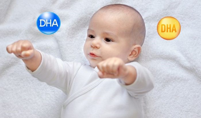 Nên bổ sung DHA cho bé từ mấy tháng tuổi?