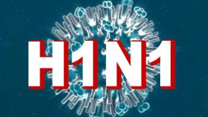 Virus cúm A H1N1 là một trong những loại virus cúm phổ biến nhất